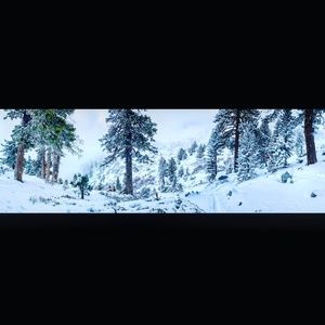 Meet your Posher, David